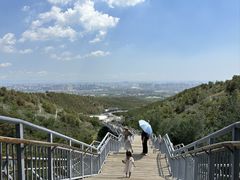 -大青山野生动物园