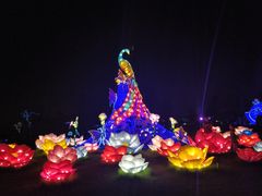 -南通洲际绿博园