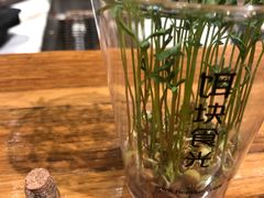 -饵块食光·云南有机手作饵块