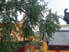 -宝通禅寺