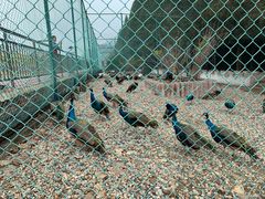-南京金牛湖风景区