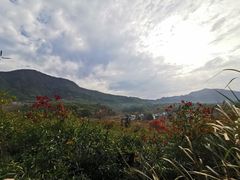 -塔川景区