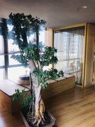 -涂tu指甲日式美甲美睫店