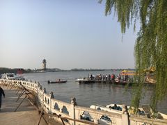 -溱湖国家湿地公园