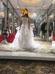 -金夫人婚纱摄影(华南店)