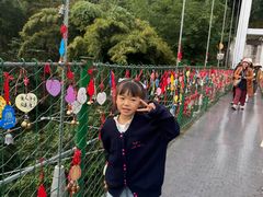 -西双版纳原始森林公园