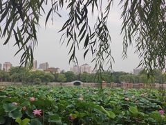 -济南大明湖景区