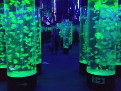 -成都浩海立方海洋公园