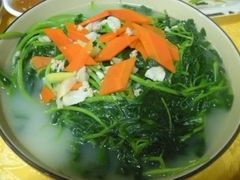 上汤苋菜-姚林轩