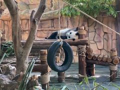 -泉州海丝野生动物世界