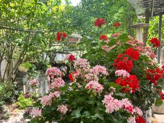 -凤来栖·净庭院·火锅(欧尚店)