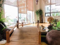 -花间禅净·瑜伽