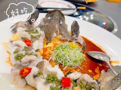 -飞尝蚝·顺德菜·鱼生(顺德总店)