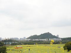 -光明小镇欢乐田园