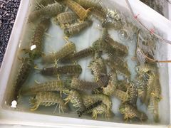 -班赞海鲜市场