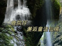 -鹿院坪生态旅游景区