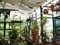 -北马山庄植趣咖啡