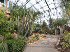 -北京植物园-展览温室