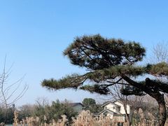 -新荣记(西溪湿地店)