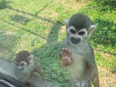 -石家庄市动物园