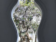 -上海醉白池公园