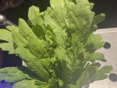 -王家渡火锅店(亦庄店)