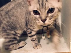 -H立方实景剧情密室(天河旗舰店)