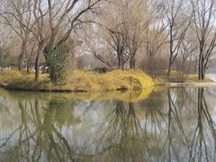 -洛阳市隋唐城遗址植物园