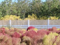 -天津东丽湖风景区