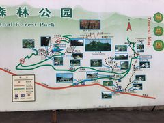 -五女峰国家森林公园
