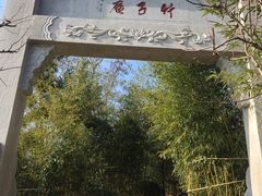 -竹子庵公园