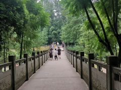 -重庆彩云湖湿地公园