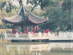 -汇龙潭