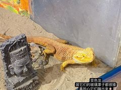 -灵玲国际马戏城