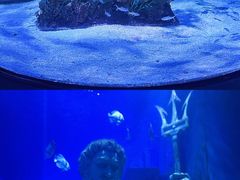 -正佳极地海洋世界
