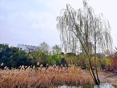 -天鹅湖体育公园