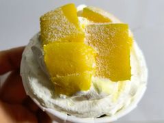 -维尔纳斯·生日蛋糕·动物奶油冰淇淋蛋糕(六里桥店)