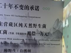 -名善山珍·野生菌汤锅(文殊院店)