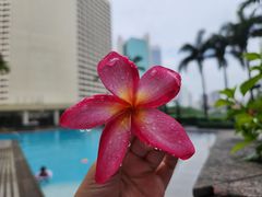 -广州花园酒店
