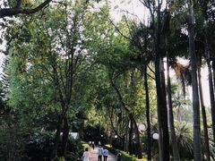 -荔香公园