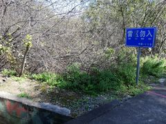 -珍宝岛