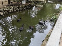 -黔灵山公园