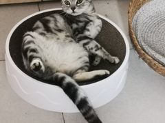 -萌兽医馆·眼科·异宠专科(三里屯店)