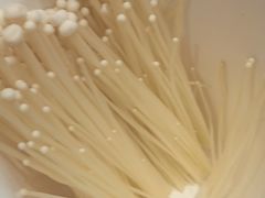 -草原传奇鲜羊火锅(桥北店)