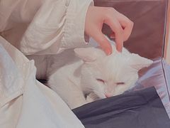 -懒鱼时光馆(沙坪坝店)