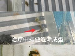 -悦宠动物医院(京丰分院)