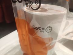 -CoCo都可(北新桥店)