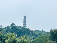 -广州莲花山旅游区