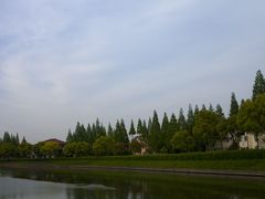 -嘉定紫藤园