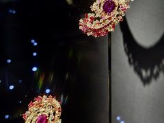 -美国自然历史博物馆